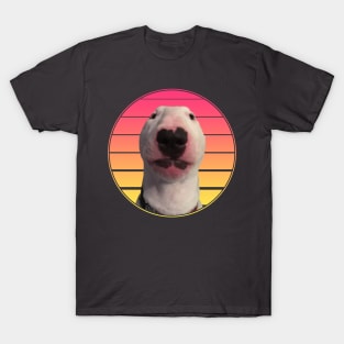 Walter T-Shirt